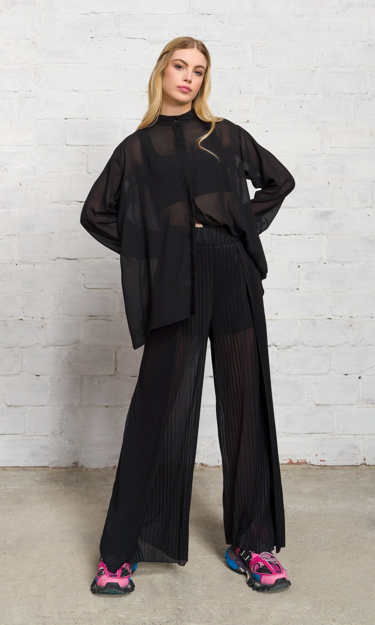 Sheer Pleated Wide Leg Pants